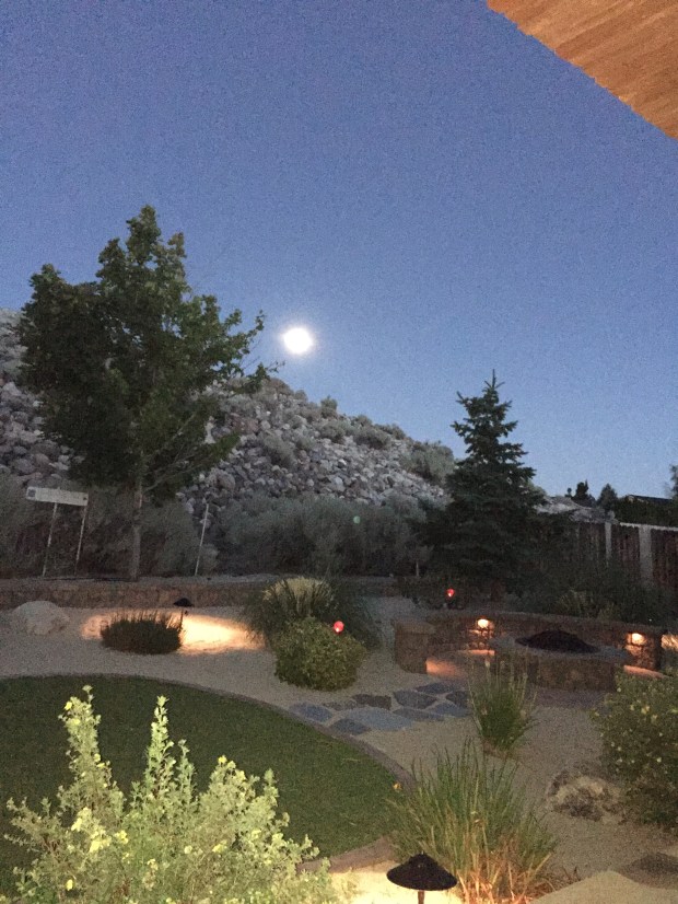 Moon over my backyard